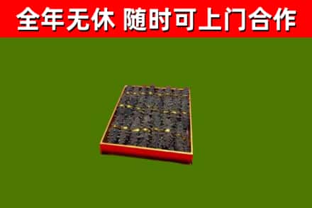 青白江回收海参